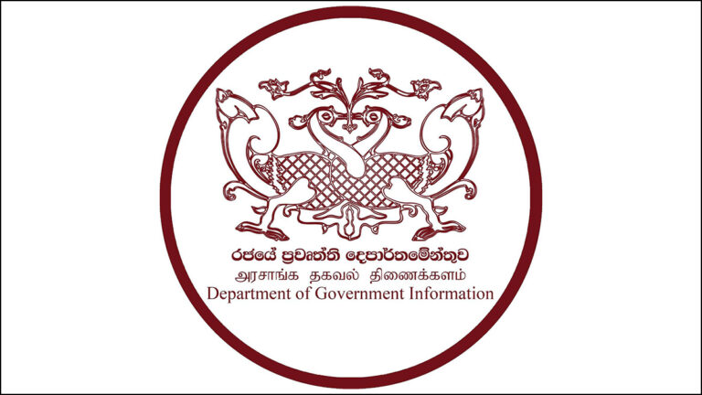 Department of Government Information